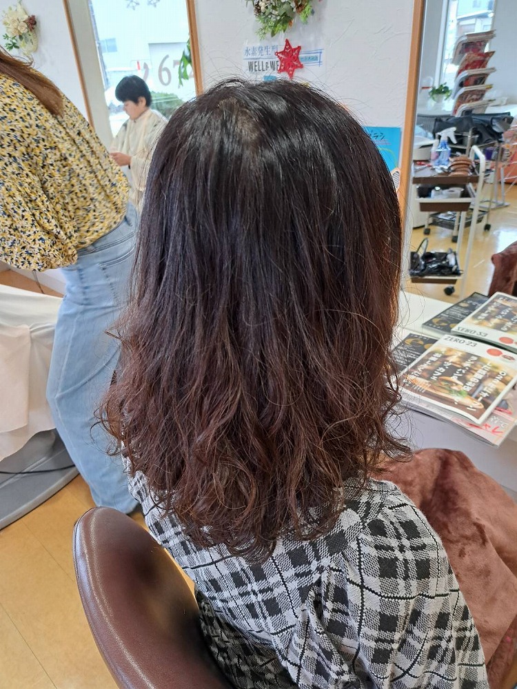 ヘアカタログ